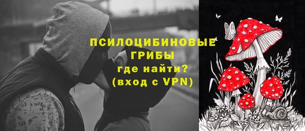 дживик Абинск