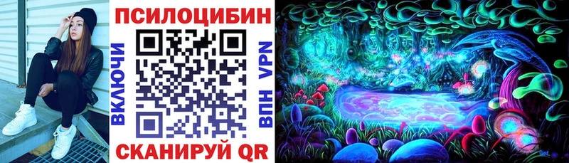 Галлюциногенные грибы Cubensis Циолковский